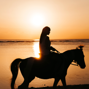Tarjeta de regalo para Sayulita: Paseo a Caballo