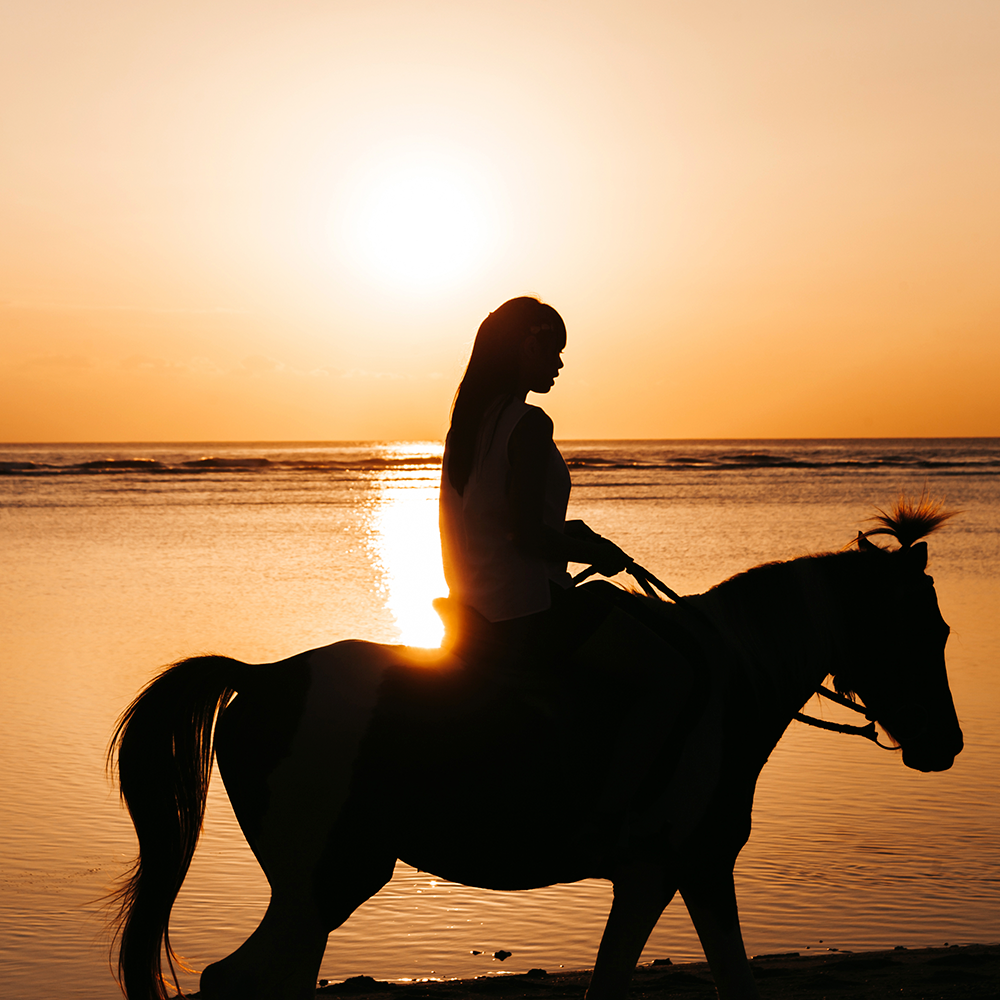 Tarjeta de regalo para Sayulita: Paseo a Caballo
